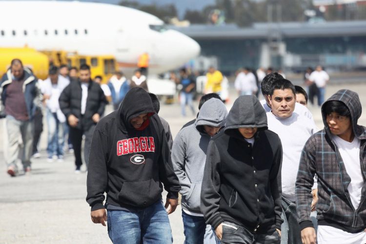 deportation order appeal