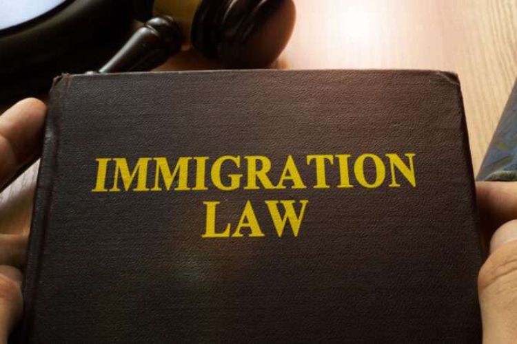 Immigration Law and Procedures