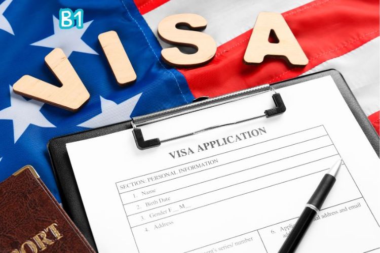 Visa Application